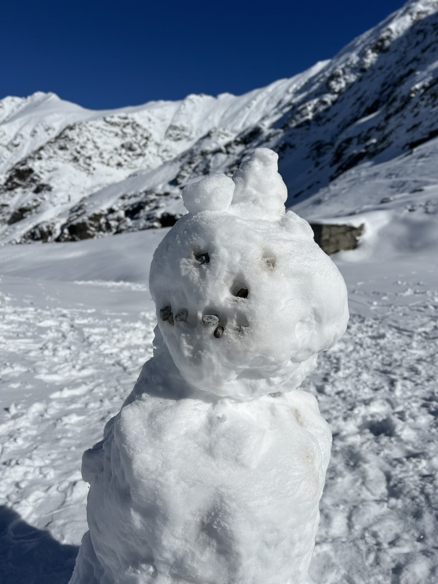 The Amygdala: How Your Brain Turns Stress into Chaos (Part 2)